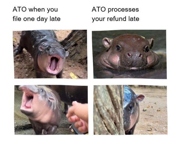 anz