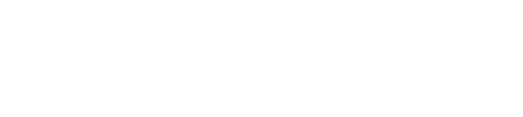 TOAconnect2026 logo1